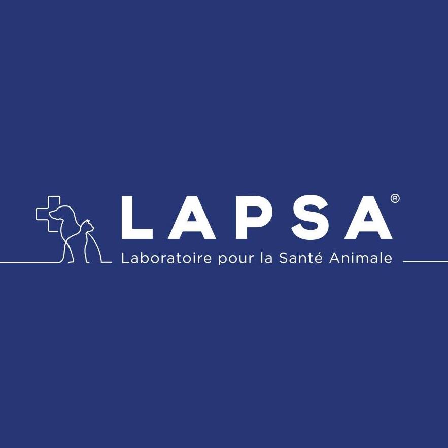 lapsa