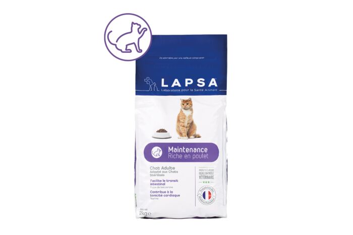 Croquettes Chat Adulte Maintenance 10kg