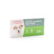 Strantel Chien comprimés VERMIFUGES bt 4
