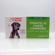 Strantel Chien XL comprimés VERMIFUGES bt2